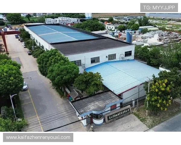 凯发k8国际娱乐大厅优惠活动汇总及参与攻略提升您的游戏体验